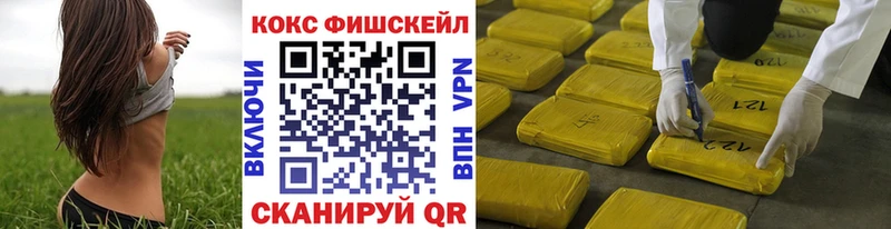hydra зеркало  где купить наркоту  Вельск  Кокаин Fish Scale 
