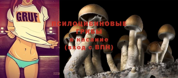круглые Богданович