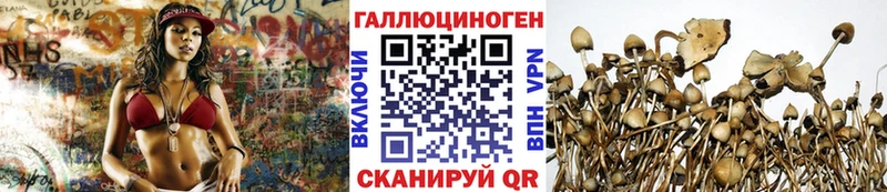 Псилоцибиновые грибы Cubensis  ссылка на мегу ссылка  Вельск 